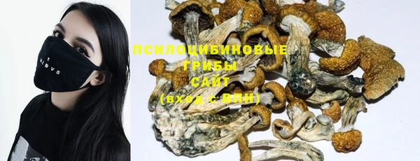 MDMA Premium VHQ Волосово
